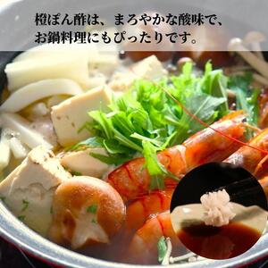 ゆずポン酢 橙ポン酢 計2本 セット