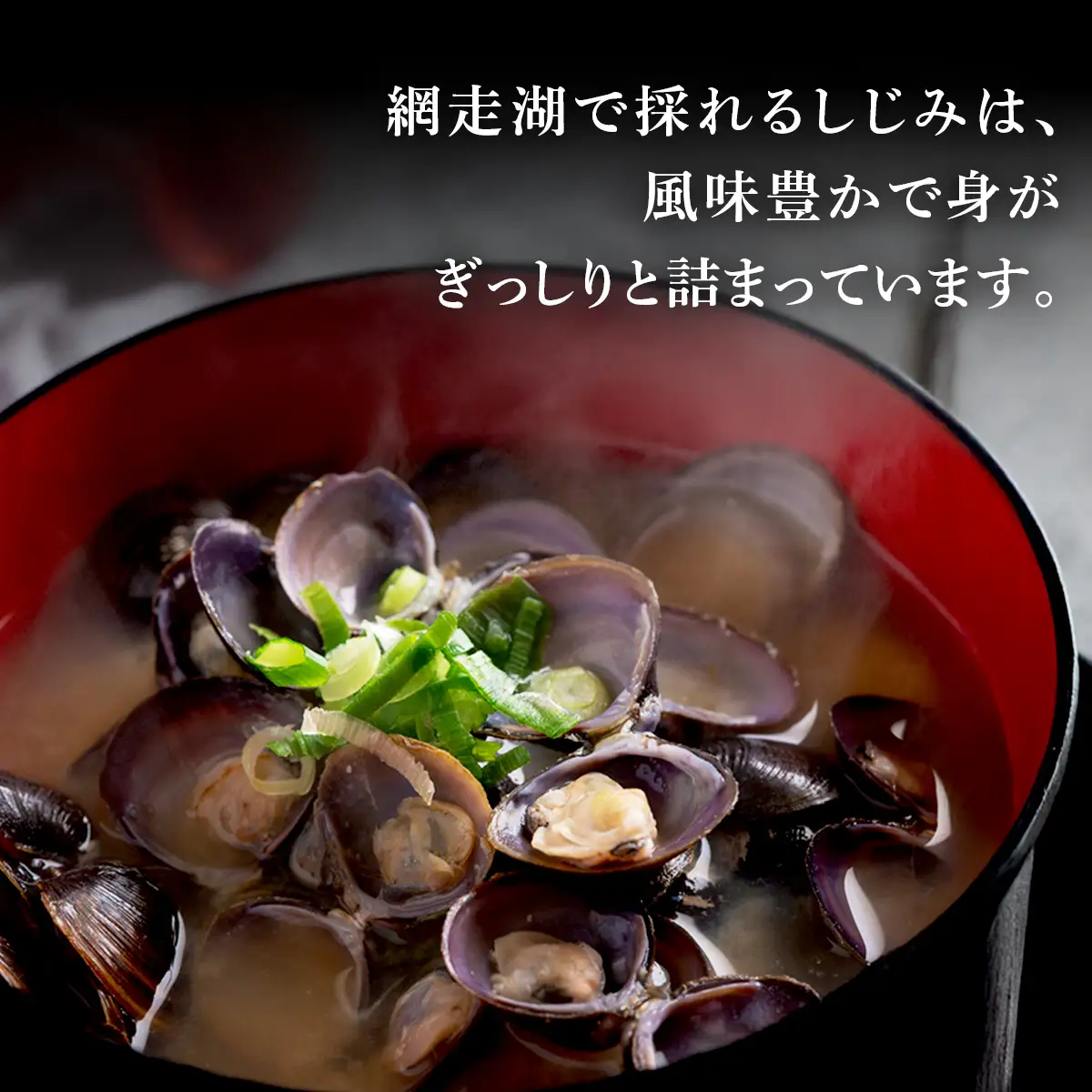 朝食セット 天然新巻鮭切り身5切と網走湖のしじみ貝1kg ABB162