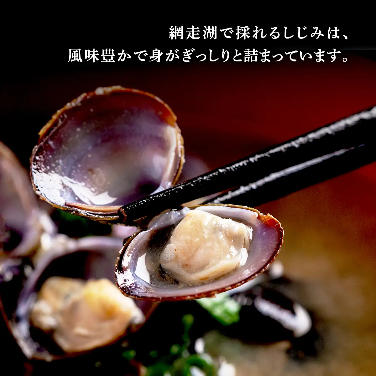 朝食セット 天然新巻鮭＆紅鮭切身(各5切）と網走湖産しじみ貝（2kg） ABB164