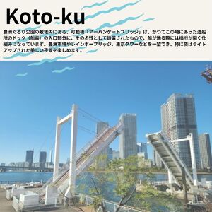 江東区に泊まるふるさと納税旅行クーポン　9,000円分 【kt094-003】