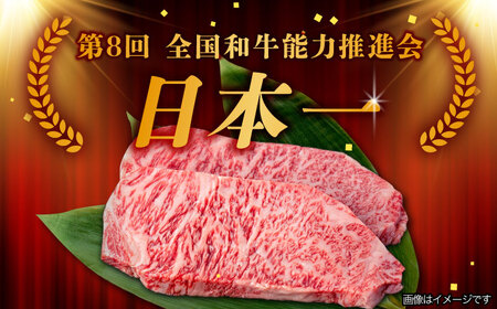 【12月発送】【飛騨牛】 A5等級 サーロイン ステーキ用 10枚 (計2.5kg) 和牛 ブランド牛 国産 牛肉 多治見市 / 渡辺精肉店 [TAZ003-12]