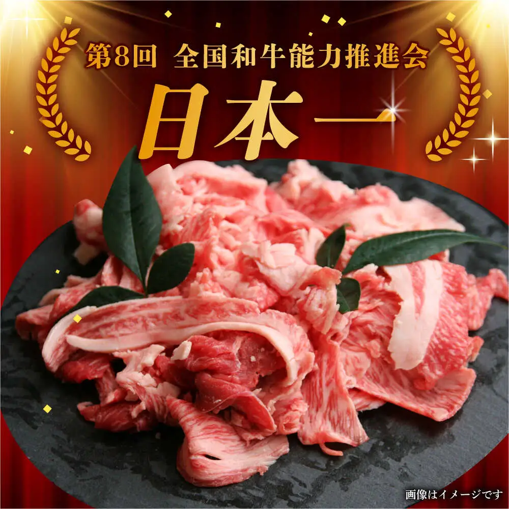 【10月発送】【飛騨牛】 切り落とし 500g 和牛 ブランド牛 国産 牛肉 多治見市 / 渡辺精肉店 [TAZ004-10]
