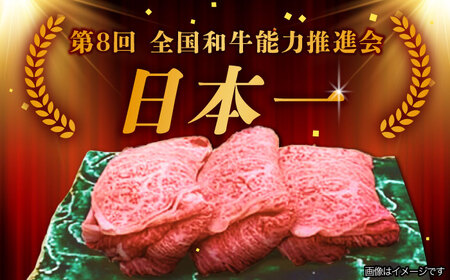 【9月発送】【飛騨牛 すき焼き用】 A5等級 ロース / 肩ロース 500g 和牛 ブランド牛 国産 牛肉 多治見市 / 渡辺精肉店 [TAZ006-9]