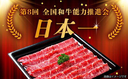 【10月発送】【飛騨牛 しゃぶしゃぶ用】 A5等級 ロース / 肩ロース 500g 和牛 ブランド牛 国産 牛肉 多治見市 / 渡辺精肉店 [TAZ007-10]