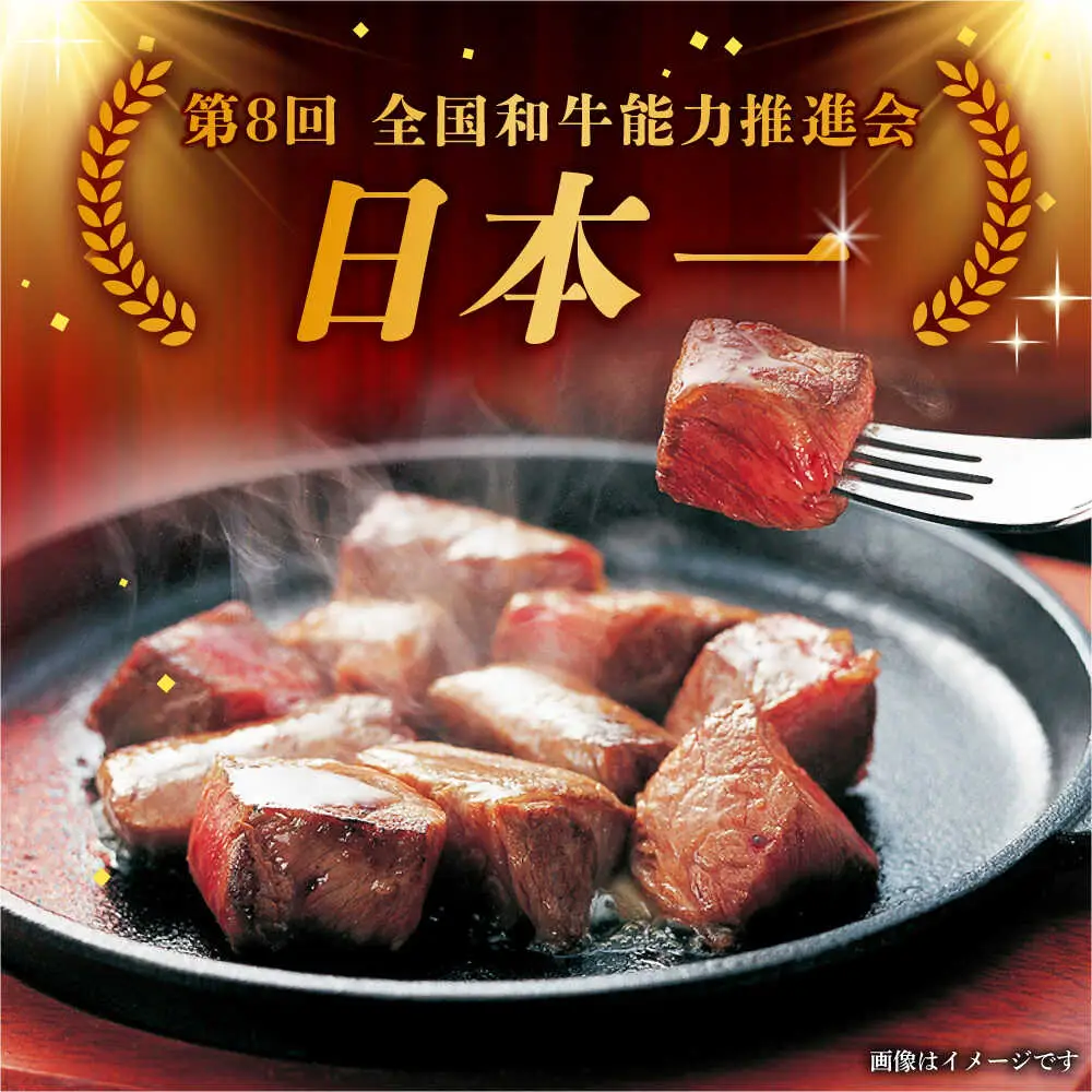 【10月発送】飛騨牛 サイコロステーキ 部位おまかせ 1kg A5等級 和牛 ブランド牛 国産 牛肉 多治見市 / 渡辺精肉店 [TAZ042-10]