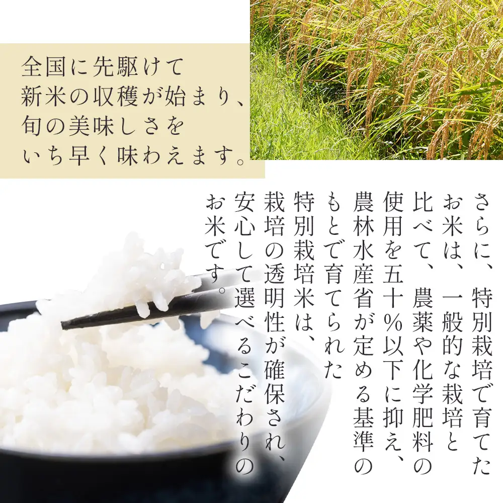 【2回定期便】令和8年産 コシヒカリ 無洗米 2kg 無洗 定期 Wnu-0006