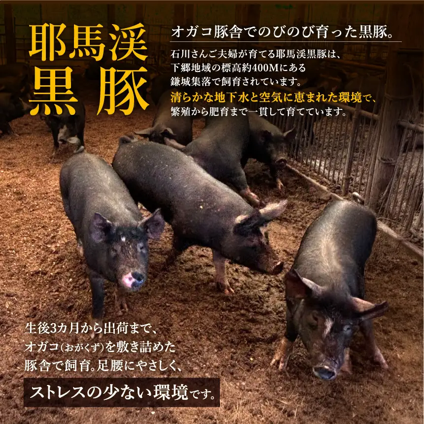 下郷農協の耶馬渓黒豚 モモスライス 400g（200g×2パック）| お肉 豚肉 ポーク モモ肉 国産 黒豚 大分県 中津市