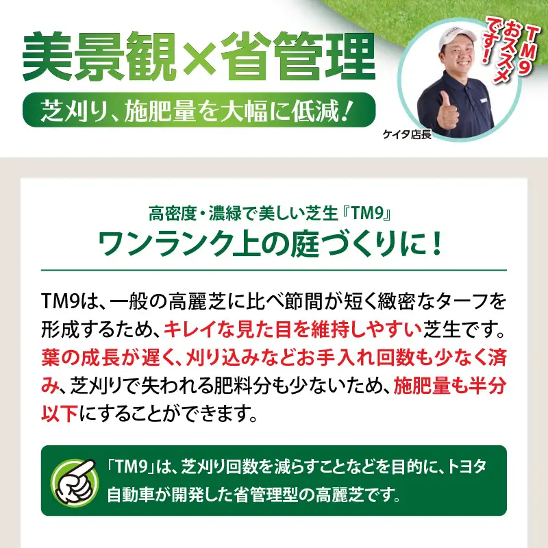 TM9（ティーエムナイン）省管理型 コウライシバ トヨタ自動車(株)開発品種 10平米 KN080-007-03 芝生 芝 庭
