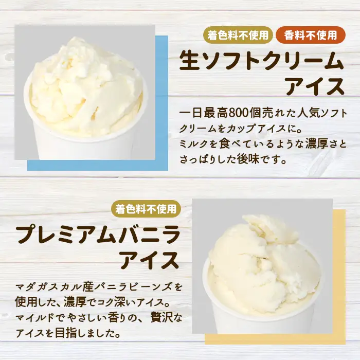 ご当地６種のアイスクリームセット 7個 生ソフトクリームアイス バニラアイス 西尾抹茶 抹茶 りんご 紅ほっぺ いちご 苺アイス ブルーベリー フレーバー 詰め合わせ 根羽村 ネバーランド 6000円