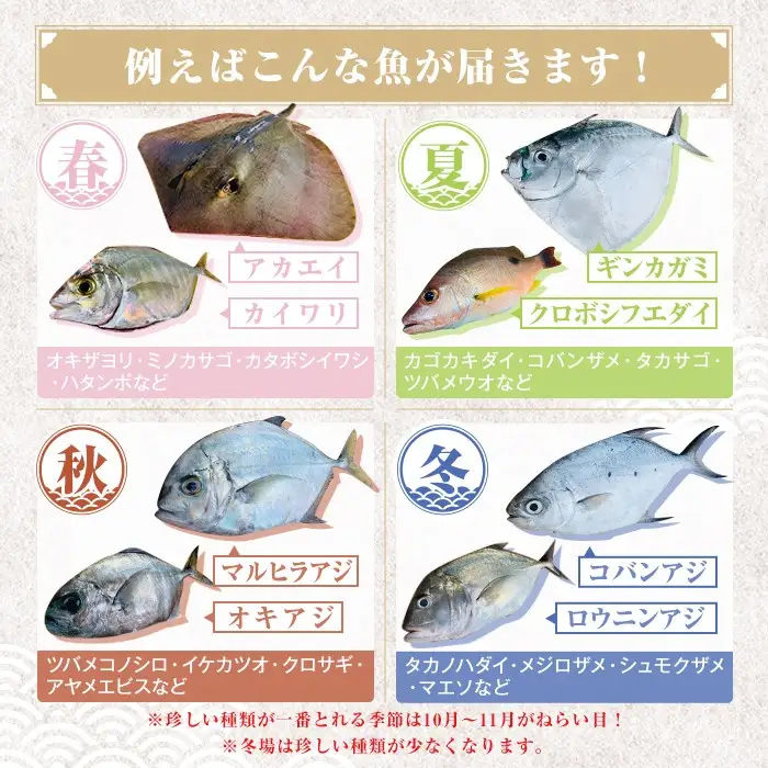【A78005】ロコフィッシュ 地魚 下処理済 鮮魚 ボックス 約2～3kg 発泡スチロール包装 鮮魚BOX 【昌徳丸】