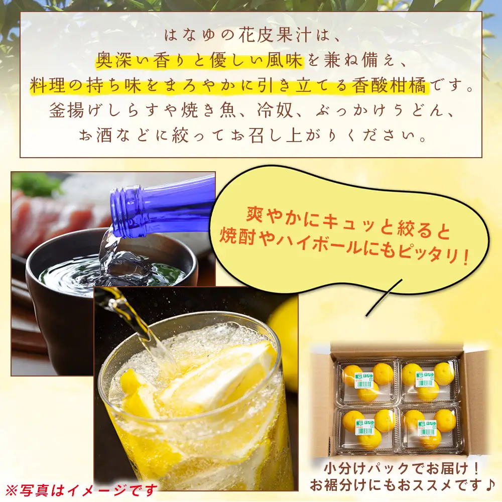 【2026年11月以降順次配送】花柚子(黄玉) 8パック 柚子 hy-0003