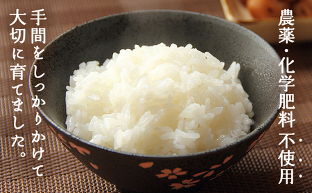 ＜令和7年産 西予市産 特別栽培米 エコえひめ コシヒカリ 白米 約5kg＞国産 精米 農薬・化学肥料不使用 一等米 約5キロ 愛媛県産 こしひかり お米 米 コメ 産地直送 送料無料 シゲちゃん農園 愛媛県 西予市【常温】『最短10営業日以内に順次発送予定』NSN0001