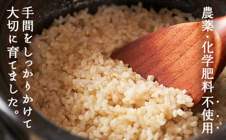＜令和7年産 西予市産 特別栽培米 エコえひめ コシヒカリ 玄米 約3kg＞国産 農薬・化学肥料不使用 一等米 3キロ 愛媛県産 こしひかり お米 米 コメ げんまい 産地直送 送料無料 シゲちゃん農園 愛媛県 西予市【常温】『最短10営業日以内に順次発送予定』NSN0002