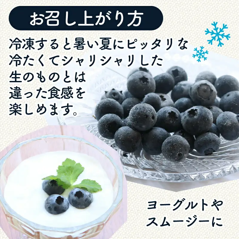 【先行予約】【全2回定期便】完熟生ブルーベリー （サザンハイブッシュ系）各600g（100ｇ×6パック） | フルーツ 果物 ベリー