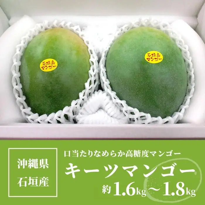 ＜先行予約＞沖縄県石垣島産 キーツマンゴー 約1.6～1.8kg