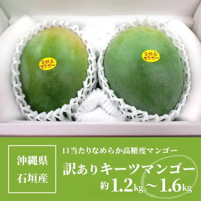 ＜予約受付＞【訳あり】沖縄県石垣島産 キーツマンゴー 約1.2kg～1.6kg