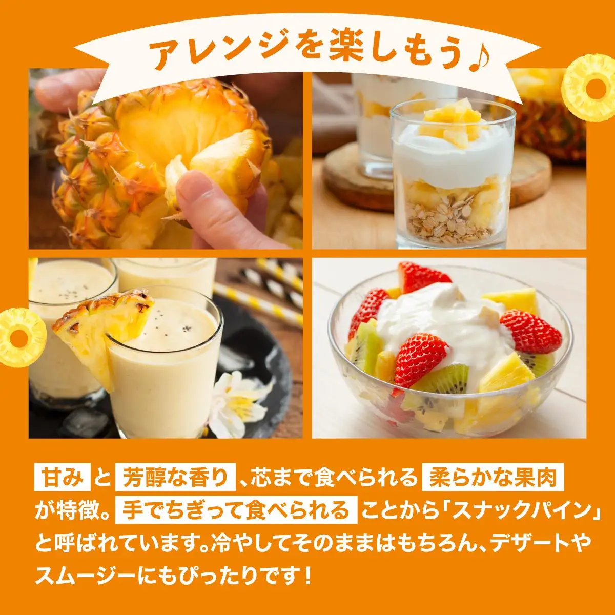 パイナップル 訳あり 石垣島産 スナックパイン 約4kg
