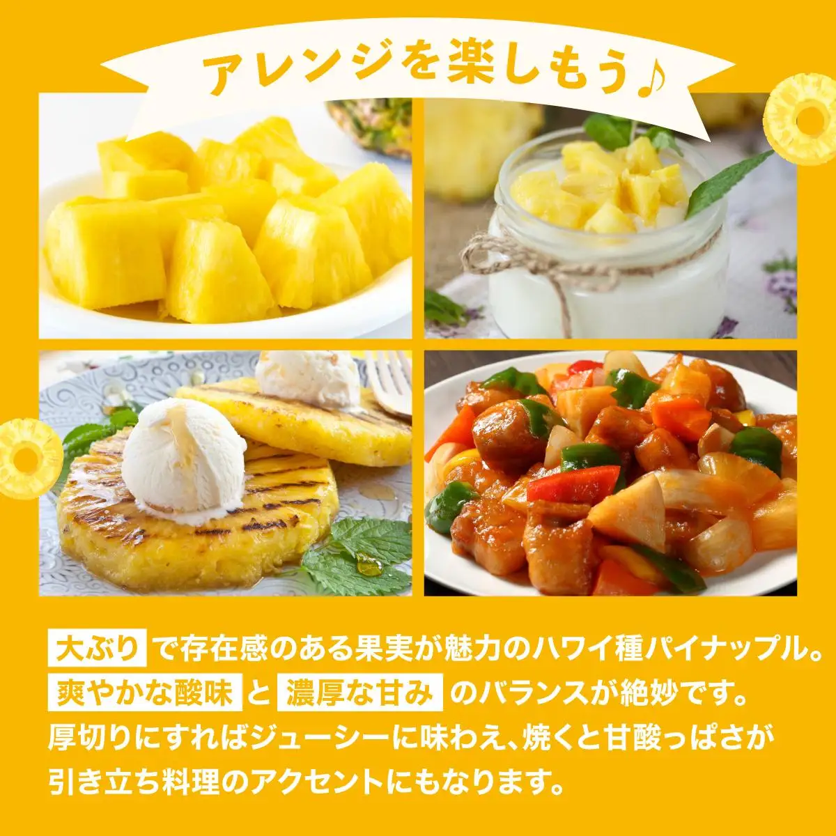 石垣島産 ハワイ種パイナップル 約4kg（3～8個）KP-02 
