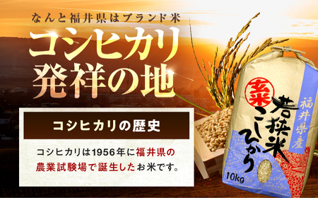  福井県産 コシヒカリ 玄米 10kg 一等級 /甘みと粘りが自慢 王道米 こしひかり 小浜市 / 若狭ふれいあい市場[BFEL001]