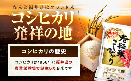  福井県産 コシヒカリ 精米 (白米) 10kg 一等級　福井県米 /甘みと粘りが際立つ 王道米 こしひかり 小浜市 / 若狭ふれあい市場[BFEL018]