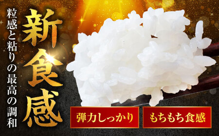 福井県産 いちほまれ 精米 (白米) 10kg 福井自慢のブランド米 一等級　福井県米 / コシヒカリ発祥 ブランド 特A常連 小浜市 / 若狭ふれあい市場[BFEL035]