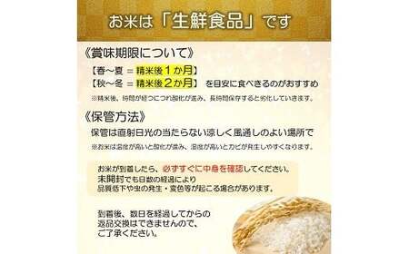 【金賞受賞農家】 令和7年産 特別栽培米 雪若丸 (玄米) 30kg 『あおきライスファーム』 山形南陽産 米 ご飯 農家直送 山形県 南陽市 [2601]