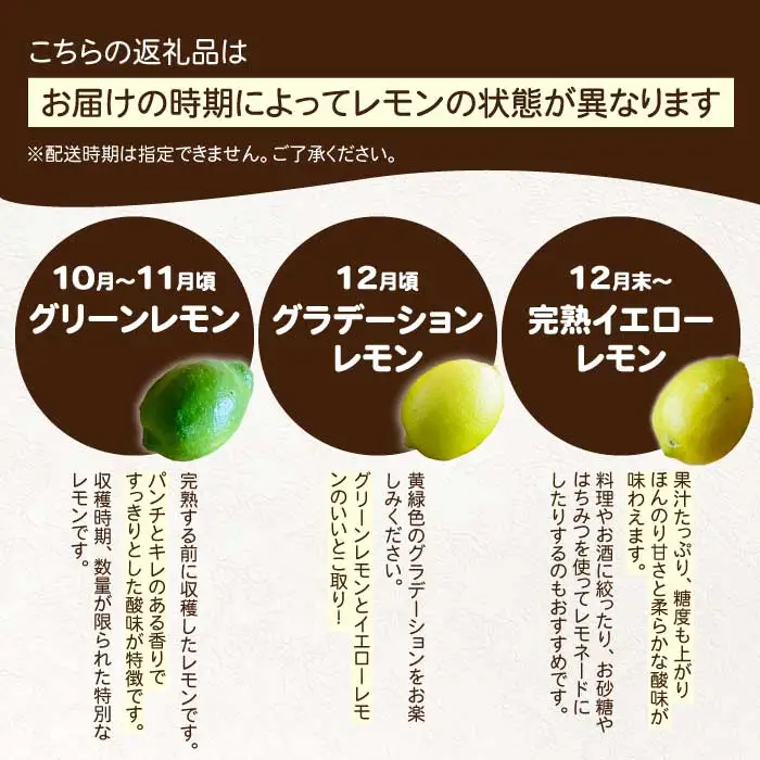レモン 2.5kg 《2026年11月～2027年3月発送予定》栽培期間中 防腐剤 ワックス 不使用 おくはち農園 旬 柑橘 かんきつ フルーツ 果物  166021