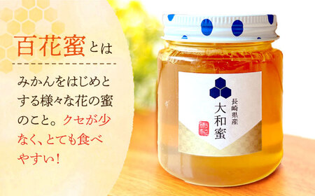 ★新蜜2025★【長崎県産】大和蜜（天然はちみつ）170g×2本 長与町/蜜ロマン養蜂園[ECE006]