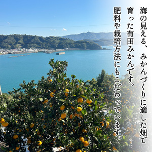 【2027年1月発送】秀品 有田みかん 和歌山県産 S～Lサイズ 大きさお任せ  約10kg_DZ6200_01