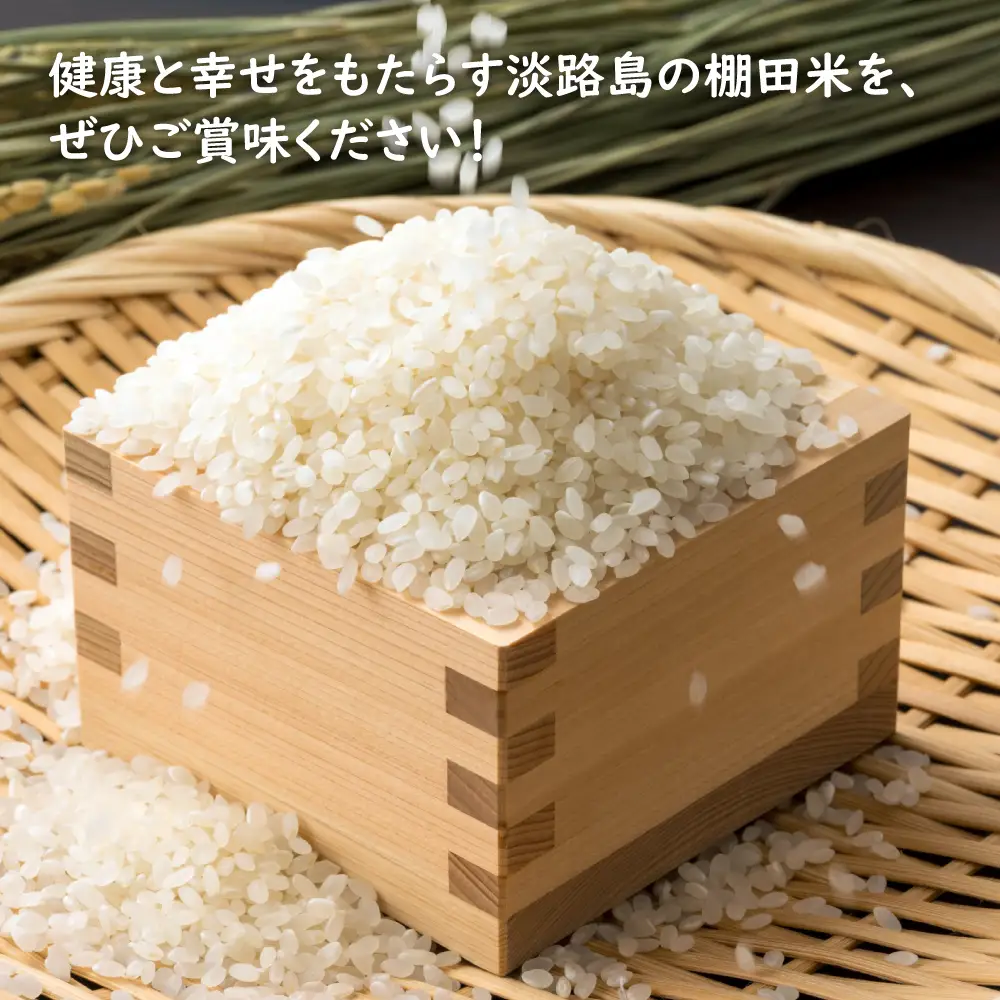 【定期便】健幸農園の棚田米 5kg×3ヵ月セット 白米