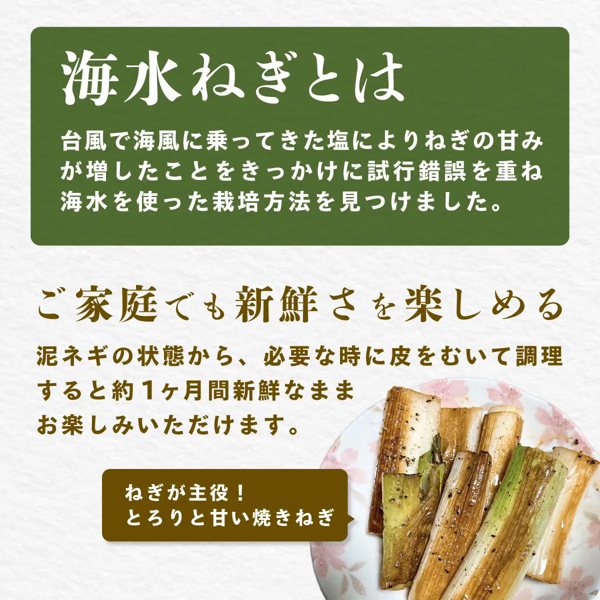 【先行予約】【山武市限定栽培】泥ネギでドドンと配送！ミネラル豊富で甘みたっぷりの「海水ネギ」７kg以上 / 地元の道の駅オライはすぬまで大人気の農家から直送! 【発送期間2026年12月から2027年2月】 SMCW002