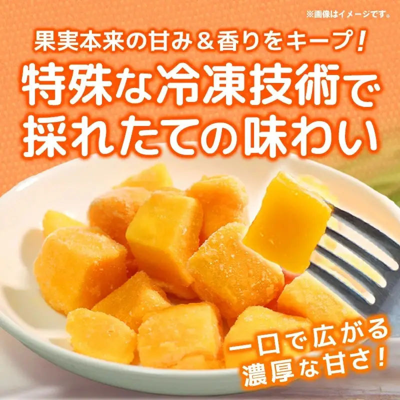 南の果実園 贅沢カット 完熟冷凍マンゴー 約1kg - 種なし 皮なし ダイスカット アップルマンゴー 果肉のみ 使いやすい 沖縄県 八重瀬町