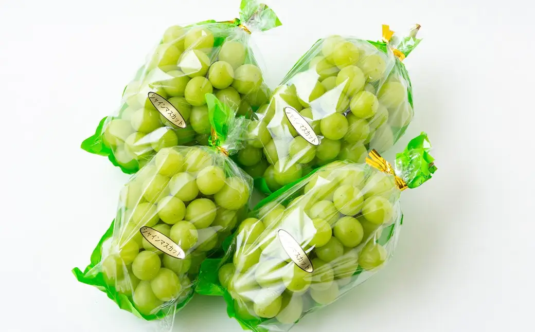 【先行予約】 原茂之巨峰園 シャインマスカット 4房から5房 （約2kg） 【2026年8月下旬～9月下旬より順次発送予定】