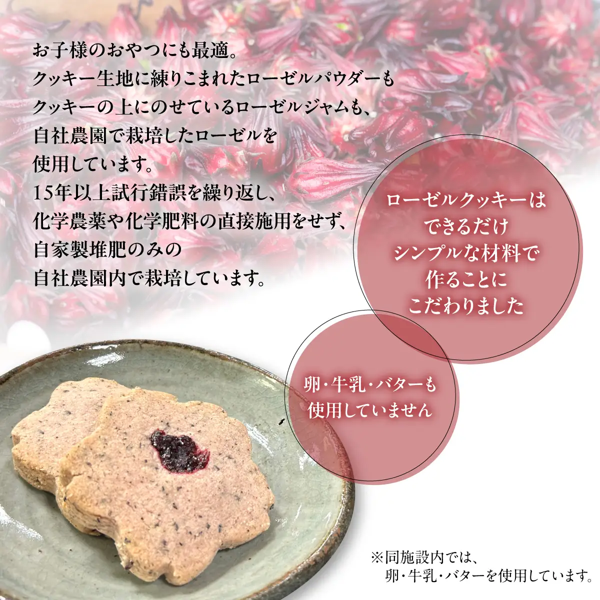 牛乳・卵・バター不使用　ココナッツの香りがやさしい 大多喜ローゼルクッキー W025501