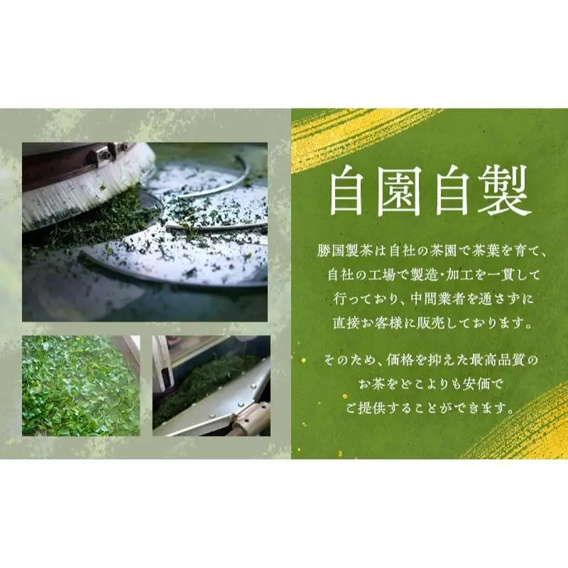 煎茶 ティーバッグ 75g（5g×15包） 5袋セット お茶