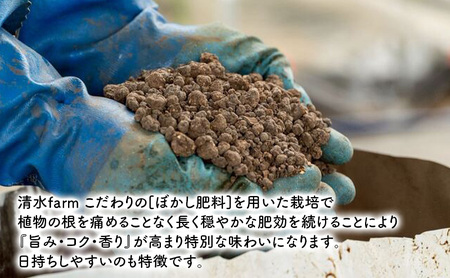 【2027年4月～発送】富良野産 採れたて直送! グリーンアスパラ 「雫」2L～Lサイズ【約1kg】 (清水farm) アスパラ アスパラガス 野菜 新鮮 季節限定 北海道 富良野 ふらの