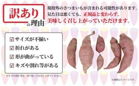 【先行予約】 訳あり さつまいも 紅はるか 10kg 【さつまいも】