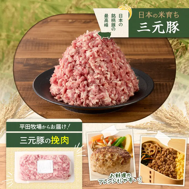 【 全3回 毎月 定期便 】 日本 の 米育ち 平田牧場 三元豚 ひき肉 600g T036-T12-01 肉 豚肉