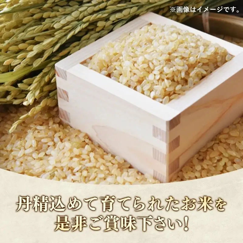 令和7年度米 埼玉県幸手産 ゆうだい21【玄米】10kg 家族みんなで大切に育てた自慢のお米 ゆうだい21【玄米】 - 米 甘み 弾力 粘り
