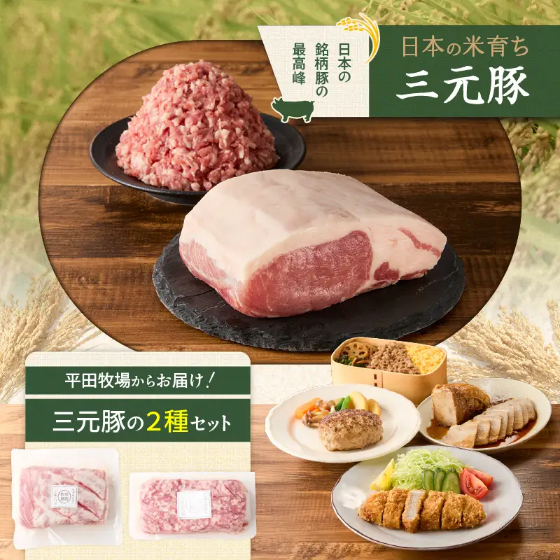 【 全12回 毎月 定期便 】 日本 の 米育ち 平田牧場 三元豚ロース ブロック 600g ・ 三元豚挽肉 300g T036-T13-03 肉 豚肉