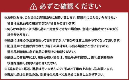 化粧箱入りプレミアムあまおう 約400g × 1パック 【ギフト・お祝い・贈答用】 【2027年2月上旬～4月上旬発送予定】 あまおう いちご イチゴ 苺 果物 くだもの フルーツ 福岡県産 国産 福岡県 遠賀町 冷蔵
