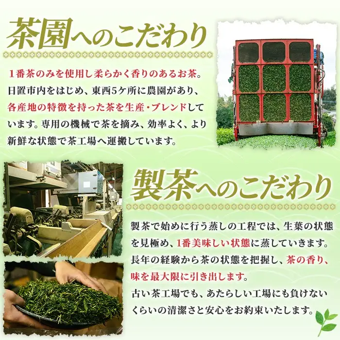 No.1329 日置市産緑茶！茶農家のおすそ分け(230g×5本) 国産 九州産 鹿児島県産 日本茶 お茶 茶葉 緑茶 セット 簡易包装 自宅用 一番茶 新芽 数量限定 常温 常温保存【池田製茶】