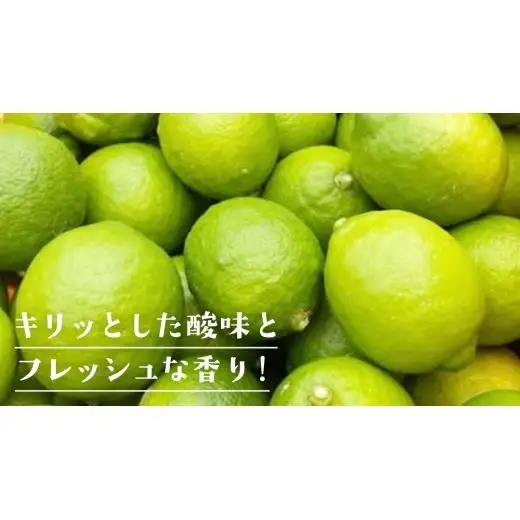 【2026年10月発送開始】 大崎上島産 有機グリーンレモン 2kg （目安18?22個程度）