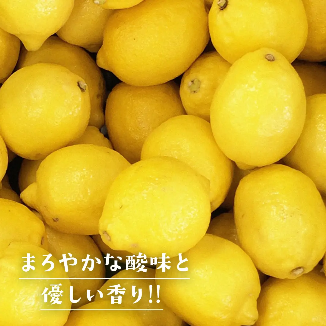 瀬戸内 有機栽培 レモン オーガニック JAS認証 有機 防腐剤ワックス不使用 1kg ( 目安8～12個程度 ) 広島県産 大崎上島町 蔵八農園 【 2027年1月～3月上旬 発送予定 】
