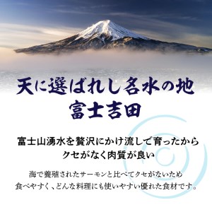 【鮮魚直送】キングサーモン×ニジマス「富士の介」刺身用 スライス  さしみ サーモン にじます 冷凍 刺身 