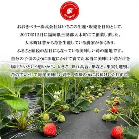 【2027年1月下旬～順次発送予定】福岡県産 あまおう 合計約540g 約270g×2パック(水巻町【配送不可地域：離島】【1685380】