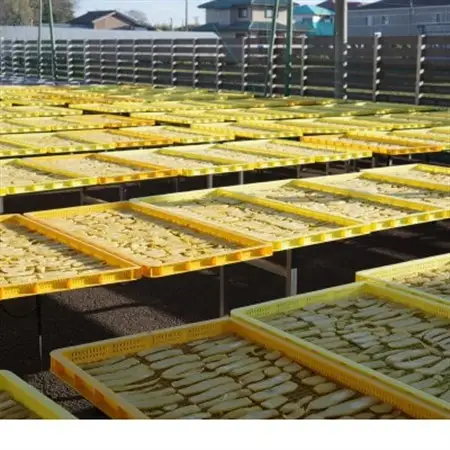 天日干し  佐倉の有機干し芋 計300g【1676400】