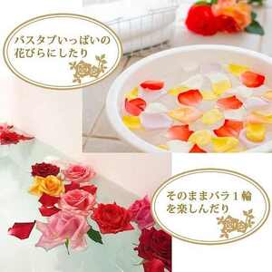 〈日付指定も可能〉 観賞はもちろん！バラ風呂やフラワーシャワーに！ ローズインにゅーよーくミックス３０輪 バラ３０輪詰め合わせ 風呂 薔薇 ローズ ギフト プレゼント ラッピング インテリア お花 フラワー H193-021