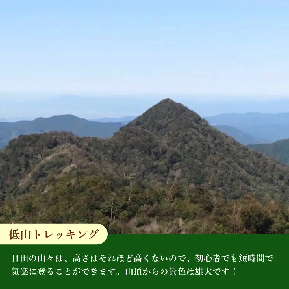 【日田を満喫体験】選べる！思い出に残る体験チケット補助券(3，000円分)　日田市 / 日田グリーンツーリズム花の木 トラベル 旅行 体験チケット[ARFM005]