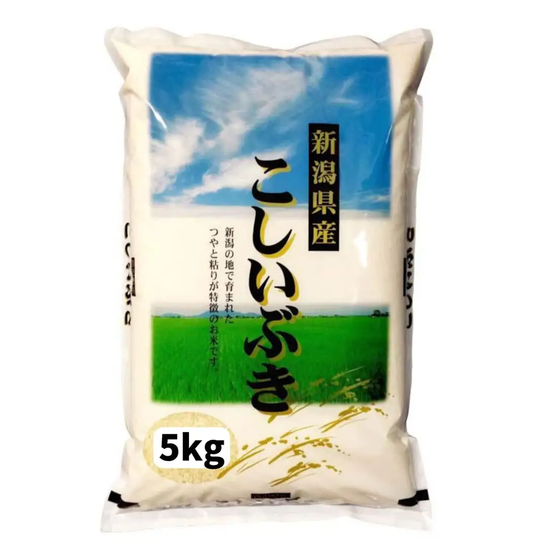 【令和7年産】新潟産 こしいぶき 5kg 白米 精米 米 こめ コメ 1N16011